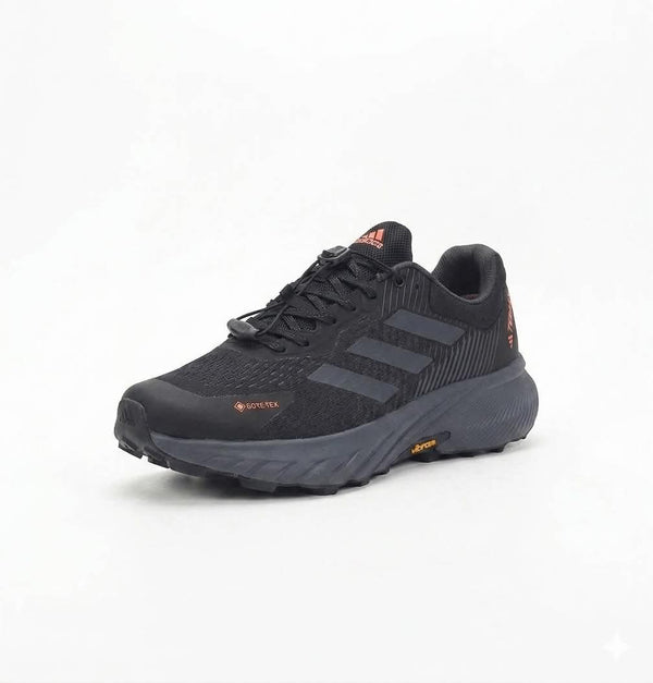 Adidas Terrex GORE-TEX black