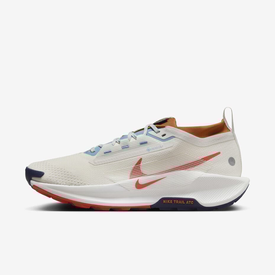 Basket Nike Pegasus Trail 5 GORE-TEX