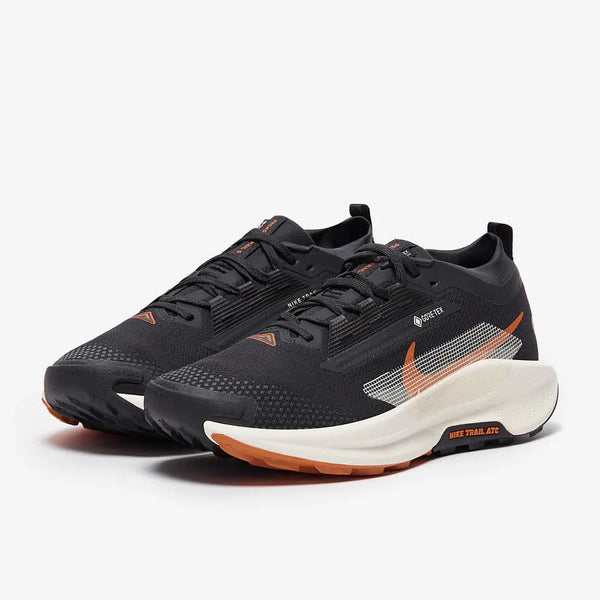 basket Pegasus Trail 5 GORE-TEX Noir Cassé