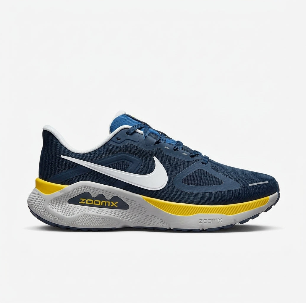 Basket Nike Air Zoom Pegasus 41 « Michigan »