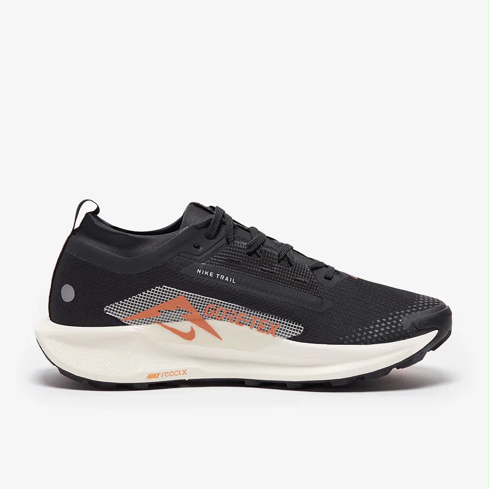basket Pegasus Trail 5 GORE-TEX Noir Cassé
