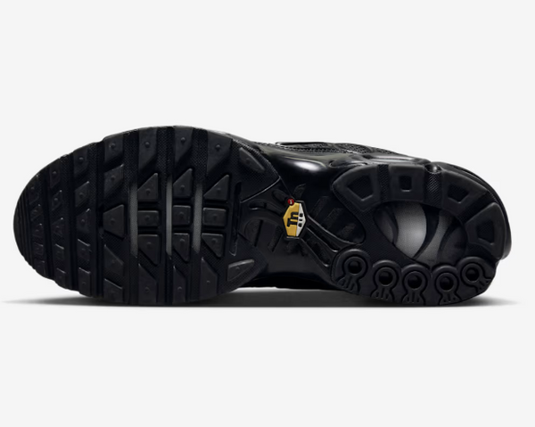 Nike Air Max Plus (TN) black