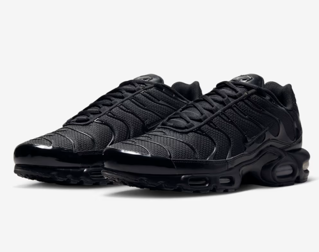 Nike Air Max Plus (TN) black