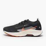 basket Pegasus Trail 5 GORE-TEX Noir Cassé