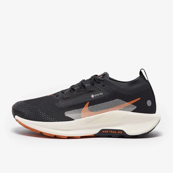 basket Pegasus Trail 5 GORE-TEX Noir Cassé
